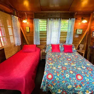 Judy House And , Negril Jamaïque